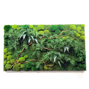 Natural branch with moss and ferns in wood frame, 68" x 33" statement piece for indoor decor.