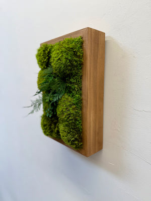 Fern & Moss Plant Painting Handmade 8” x 12” Hang Horizontal or Vertical Holiday Gift Size