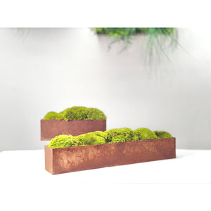 Large metal planter box with preserved moss, no watering required.