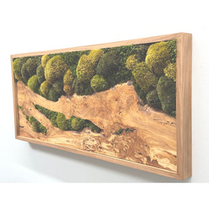 Olive Wood & Olive Moss Plant Painting with moss and ferns in cedar frame.
