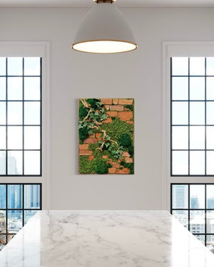 Warehouse Fall Sale Preserved Moss Art Brick & Ivy 24" x 32"