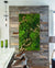 kitchen-moss-and-fern-preserved-moss-with-sandwood-accent-in-frame