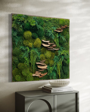 Preserved moss and fern wall art with shelf mushrooms, 36 x 36 inches