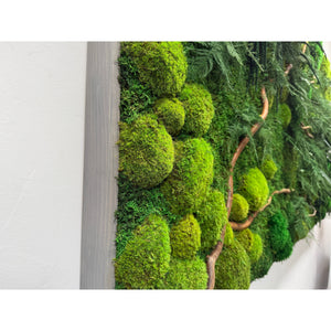 Natural branch with moss and ferns wall art in wood frame.