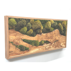 Olive Wood & Olive Moss Plant Painting® with Mosses and Ferns in Natural Cedar Frame, 40” x 18”.