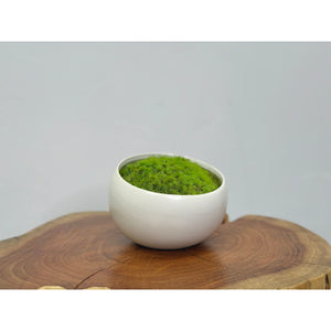 Modern white asymmetrical ceramic bowl with vibrant preserved moss.