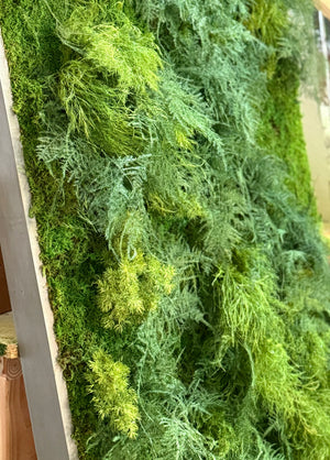 Warehouse Holiday Sale Preserved Moss Wall Art Extra Lush Fern 72" x 36"