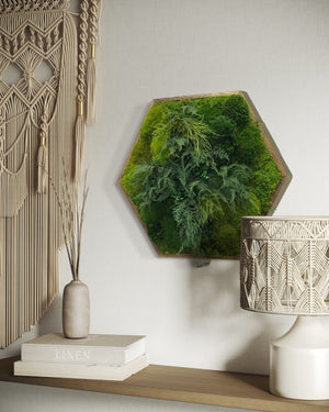 Warehouse Holiday Sale Preserved Moss Wall Art Hexagon 22.5"