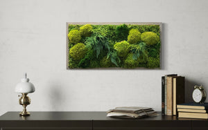 Warehouse Holiday Sale Preserved Moss Wall Art 12" x 24"