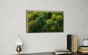 Warehouse Holiday Sale Preserved Moss Wall Art 12" x 24"