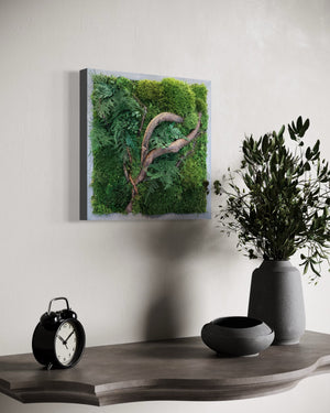 Warehouse Holiday Sale Preserved Moss Art 14" x 14"