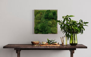 Warehouse Holiday Sale Preserved Moss Art 18" x 18"