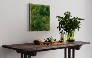 Warehouse Holiday Sale Preserved Moss Art 18" x 18"