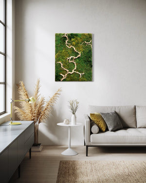 Warehouse Holiday Sale Preserved Moss Art Sandwood Branch Ombre Minimalist 35” x 45”