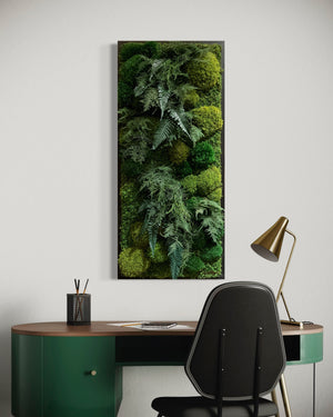 Warehouse Holiday Sale Preserved Moss Art with Extra Depth and Ferns Black Frame 40" x 18"