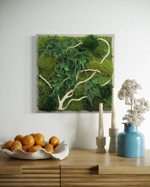 Warehouse Holiday Sale Preserved Moss Art with White Winding Branch 18 x 18 inch