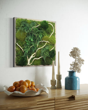 Warehouse Holiday Sale Preserved Moss Art with White Winding Branch 18 x 18 inch
