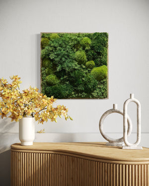 Warehouse Holiday Sale Preserved Moss Art Extra Ferns 24" x 24"