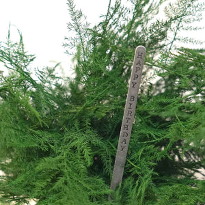 Featherleaf Fern Kokedama with preserved moss and "Happy Birthday" sign post.