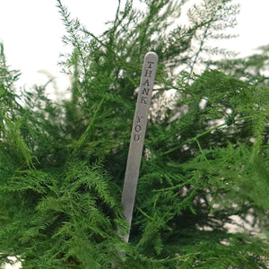 Featherleaf Fern Kokedama with preserved moss and optional gift message sign.