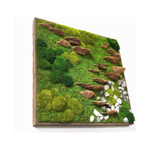 24x24 moss with fungus and rocks plant painting in rustic grey reclaimed wood frame.