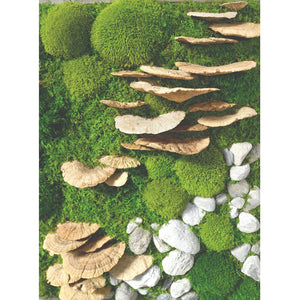 24x24 mosaic of moss, fungus, and rocks in rustic frame, indoor decor.