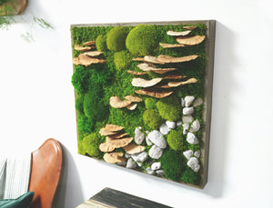 Moss with Fungus and Rock 24” X 24”