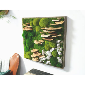 Moss with Fungus and Rock 24” X 24” Plant Painting® in rustic reclaimed wood frame, featuring preserved moss, fungus, and rocks for indoor decor.
