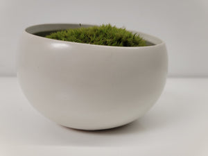 Preserved Moss in Modern White Asymmetrical Ceramic Bowl