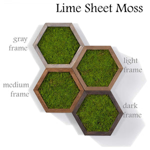Modular Hexagons wall art with lime sheet moss in gray, light, medium, and dark wood frames.