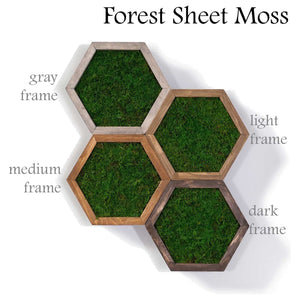 Modular hexagon frames with forest green sheet moss in gray, light, medium, and dark wood options.