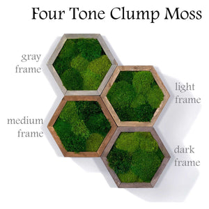 Modular hexagon moss wall art with gray, light, medium, and dark wood frames.