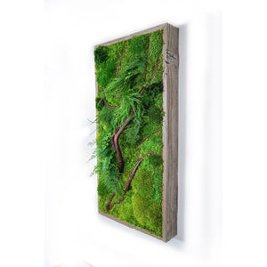 Red Branch 12” x 24” Plant Painting® with red bark branches, ferns, moss in rustic grey shadow box frame.