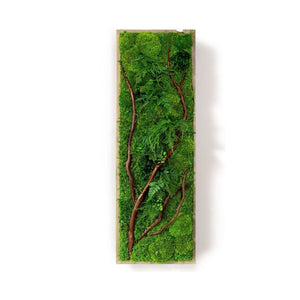 Red Branch 12” x 36” Plant Painting with moss and ferns in a rustic grey shadow box frame.