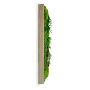 Red Branch 12” X 36” Plant Painting® with rustic grey frame, featuring preserved red branches, ferns, and moss.