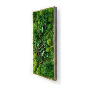 Red Branch 18” x 40” plant painting with preserved moss and ferns in rustic grey shadow box frame.