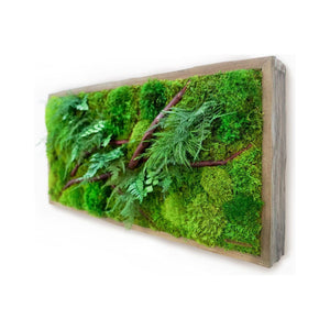 Red Branch 12” x 24” plant painting with red bark branches, ferns, and moss in a rustic grey wood frame.