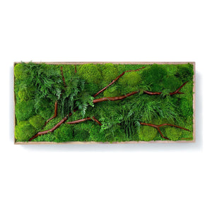 Red Branch 18” X 40” plant painting with rustic grey wood frame, featuring naturally preserved red branches, ferns, and moss.