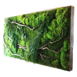 Red branch with moss and ferns in wooden frame, oversized wall art.