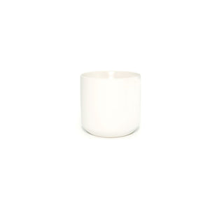 White ceramic pot for preserved fern variety potted plant set.