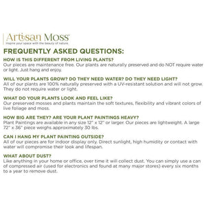 Moss & Ferns 68" x 68" Oversized Plant Painting® Wall Art by Artisan Moss