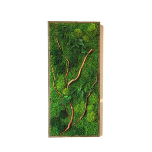 Natural barked branch in rustic frame with ferns and moss, 40” x 18” Plant Painting®.