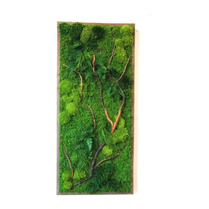 Natural barked branch plant painting with ferns and moss in reclaimed wood frame.