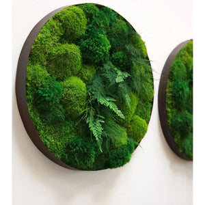 Moss and ferns in distressed metal frame wall art.