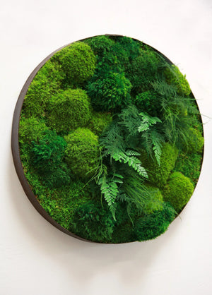 Moss and Ferns in 24"+/- Whisky Round Distressed Metal Frame