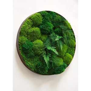 Moss and ferns in distressed metal frame wall art.