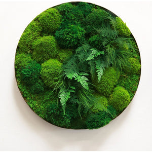 Moss and ferns in distressed metal frame wall art.