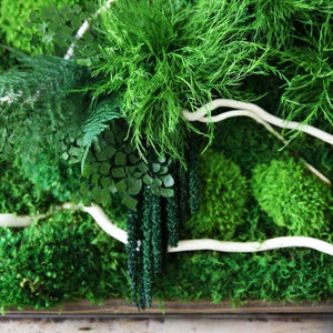 White winding branch plant painting with ferns, moss, and rustic grey frame.