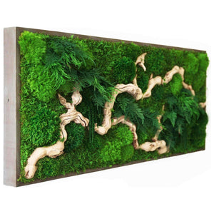 moss art with sandwood in frame large