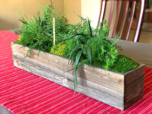 Large Wooden Planter Box with Preserved Moss and Ferns - No Watering